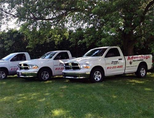 pest control Greensburg Indiana