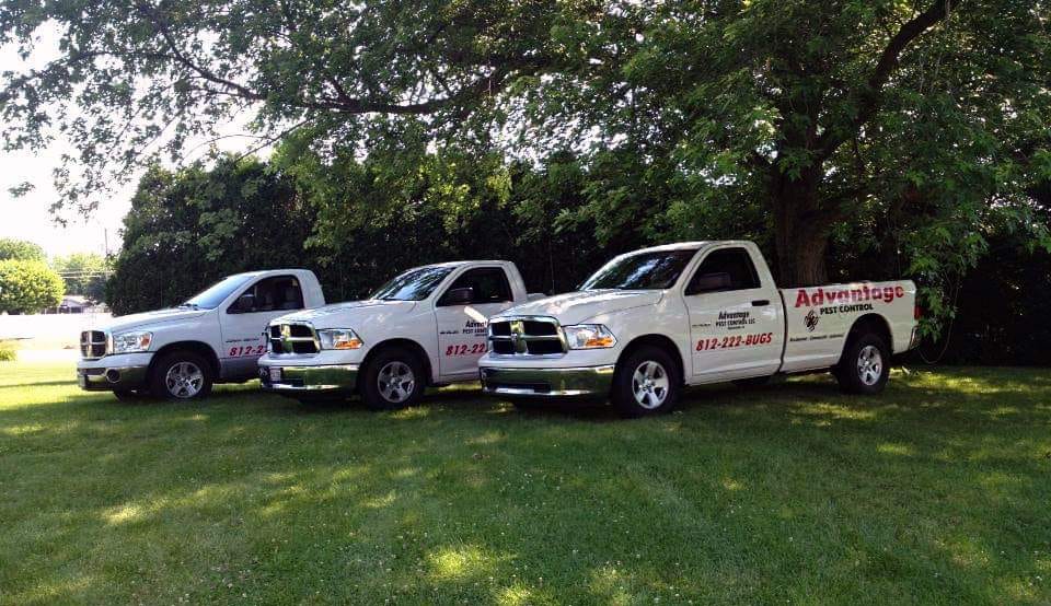bed bug control Greensburg Indiana